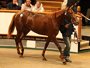 Galileo Filly Sells for 1.7 Million Guineas Galileo Filly Sells for 1.7 Million Guineas