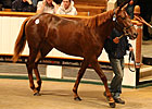 Galileo Filly Sells for 1.7 Million Guineas Galileo Filly Sells for 1.7 Million Guineas