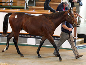 Tattersalls Book 2 Continues to Soar Tattersalls Book 2 Continues to Soar