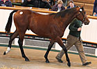 Tattersalls Book 2 Ends With Record Gross Tattersalls Book 2 Ends With Record Gross
