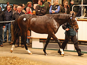 Tattersalls Book 1 Ends With a Galileo Blast Tattersalls Book 1 Ends With a Galileo Blast