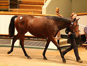 Motivator Filly Paces Strong Book 2 Session Motivator Filly Paces Strong Book 2 Session