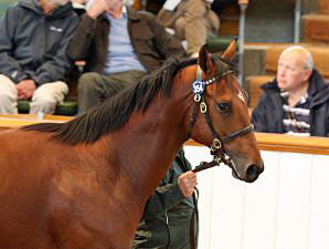 Tattersalls Concludes Record Book 1 Sale Tattersalls Concludes Record Book 1 Sale