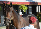 Keeneland September Sale: Taylor Made