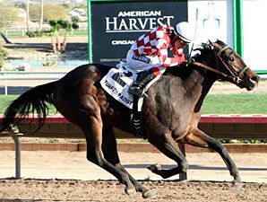 Gutierrez Will Try to Win BC Derby for Mentor Gutierrez Will Try to Win BC Derby for Mentor