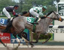 Jerkens Needs Teammate to Win Fifth Shuvee Jerkens Needs Teammate to Win Fifth Shuvee