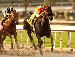Teddy's Promise Delivers Santa Monica Victory Teddy's Promise Delivers Santa Monica Victory