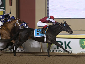 Ted's Folly Last to First in Springboard Mile Ted's Folly Last to First in Springboard Mile