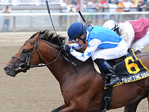 Teeth of the Dog Holds on in Dwyer Stakes Teeth of the Dog Holds on in Dwyer Stakes