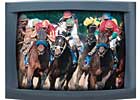 No Network TV Coverage for Weekend Races