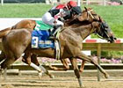 Tell a Great Story Favored for Delaware Oaks Tell a Great Story Favored for Delaware Oaks