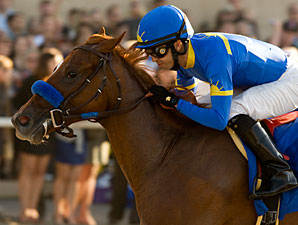 Tell A Kelly Speaks Up in Darley Debutante Tell A Kelly Speaks Up in Darley Debutante
