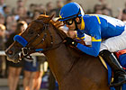Tell A Kelly Speaks Up in Darley Debutante Tell A Kelly Speaks Up in Darley Debutante