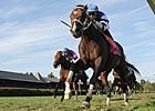 Telling: A Longshot With a Tale to Tell
