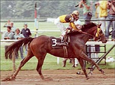 Champion/Classic Winner Temperence Hill Dies in Thailand Champion/Classic Winner Temperence Hill Dies in Thailand