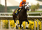 Temple City Sets Track Record in Cougar II 