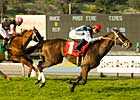 Ten Meropa Gets Lucky in Baldwin