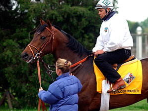 Travers Winner Ten Most Wanted Dies Travers Winner Ten Most Wanted Dies