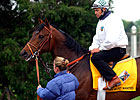 Travers Winner Ten Most Wanted Dies Travers Winner Ten Most Wanted Dies