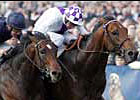 European Juvenile Champion Teofilo Retired