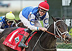 Tepin to Open Season in Miss Preakness Tepin to Open Season in Miss Preakness