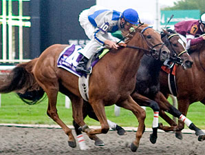 Terrain Tunes Up For Louisiana Derby Terrain Tunes Up For Louisiana Derby