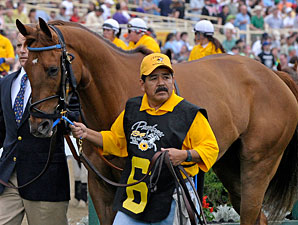 Multiple Stakes Winner Terrain Euthanized Multiple Stakes Winner Terrain Euthanized