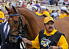Multiple Stakes Winner Terrain Euthanized Multiple Stakes Winner Terrain Euthanized