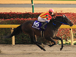 KY-Bred Testa Matta Wins Japan's February KY-Bred Testa Matta Wins Japan's February
