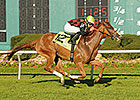 Testa Rossi Cruises in Florida Oaks Stretch Testa Rossi Cruises in Florida Oaks Stretch