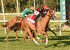 Testa Rossi Gets Endeavour Victory on DQ Testa Rossi Gets Endeavour Victory on DQ