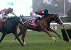 Testa Rossi Heads 13-Horse Field in Ashland Testa Rossi Heads 13-Horse Field in Ashland
