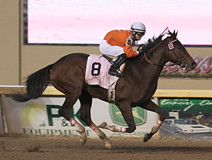 128-1 Texas Bling Lights Up Springboard Mile 128-1 Texas Bling Lights Up Springboard Mile