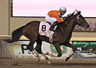 128-1 Texas Bling Lights Up Springboard Mile 128-1 Texas Bling Lights Up Springboard Mile