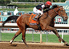 Texas Red Recovering, SA Derby Remains Goal Texas Red Recovering, SA Derby Remains Goal