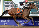 Abscess Keeps Texas Red Out of Risen Star Abscess Keeps Texas Red Out of Risen Star