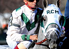 Texas Wildcatter Heads B.C. Derby Field Texas Wildcatter Heads B.C. Derby Field