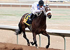 Zia Park Hosts New Mexico Classic Cup Series Zia Park Hosts New Mexico Classic Cup Series