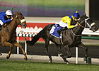 De Kock Lands Al Rashidiya with The Apache De Kock Lands Al Rashidiya with The Apache
