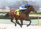 The Big Beast Sharp in Winning Return The Big Beast Sharp in Winning Return
