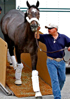 The Factor Settling in at Churchill The Factor Settling in at Churchill