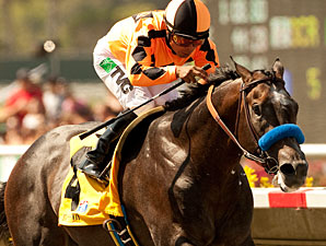 Baffert, Asmussen Carry Heavy Load in Malibu Baffert, Asmussen Carry Heavy Load in Malibu