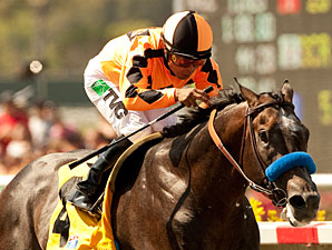 The Factor Makes Huge Impact in Pat O'Brien The Factor Makes Huge Impact in Pat O'Brien