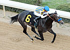 Ky. Derby Trail: Talking Points