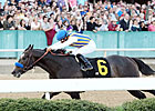 The Factor, 7-5, Facing 12 in Arkansas Derby The Factor, 7-5, Facing 12 in Arkansas Derby