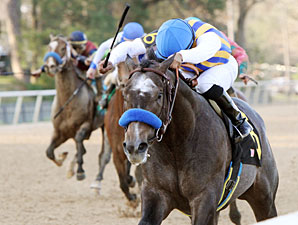 Baffert on The Factor: 'Lots of Options' Baffert on The Factor: 'Lots of Options'