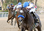 Will The Factor be our Derby Favorite? Will The Factor be our Derby Favorite?