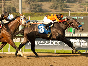 The Factor Refuses to Fold in San Carlos The Factor Refuses to Fold in San Carlos
