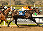 The Factor Refuses to Fold in San Carlos