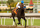 The Factor Headlines Crowded Rebel Stakes The Factor Headlines Crowded Rebel Stakes